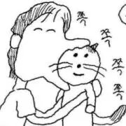 iimの画像