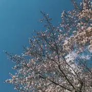 _mの画像