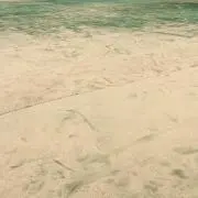 @gjtpdv