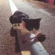 RAMの画像