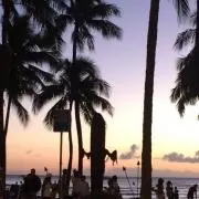miii-の画像