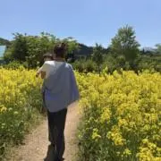 Leeの画像