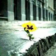 Yui  姫 ☆