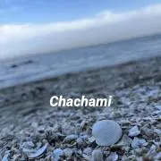 Chachamiの画像