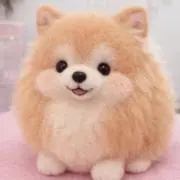 Ａの画像