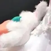 こ