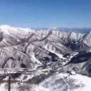 キャロット