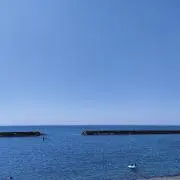 あとむの画像