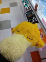しょうちゃんの画像