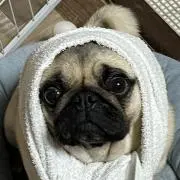 コアかも知れない