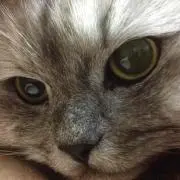 まあたろ*プロフ読んで下さいの画像