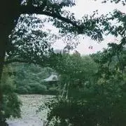 く