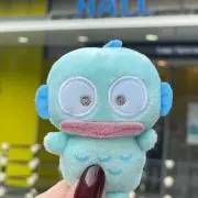 Hの画像