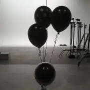 シャチの画像
