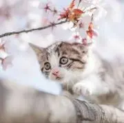 まーち