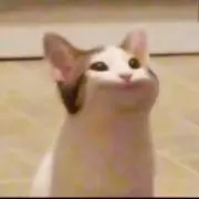 roniの画像