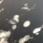 miの画像