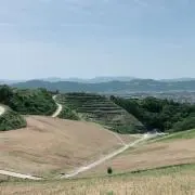 BANの画像