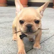 もも☆プロフィール必読☆の画像