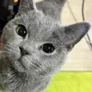 ちか