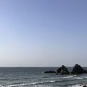 あるるの画像