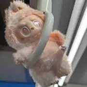 しらすの画像