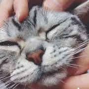 りゅう