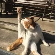 みずの画像