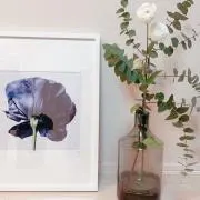 chamoの画像