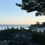 あおの画像