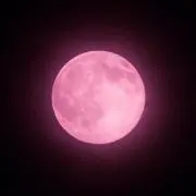 ぴんくのりゅう プロフ必読m(_ _)mの画像