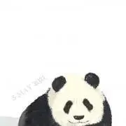 ハート