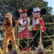 SUMI⭐︎☆⭐︎☆⭐︎即購入大歓迎ですの画像