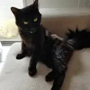 むーたん。なっちむ