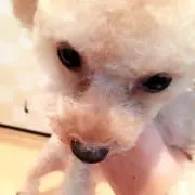 るいの画像