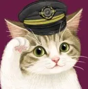 ねこたろうの画像