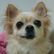 くるみん♡発送ストップ中！プロフ確認要の画像