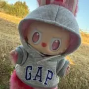 ねこの画像