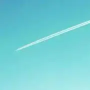おこめの画像