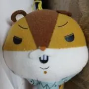 氷見雨晴の画像