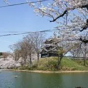 ma_値下げ不可(値下げはプロフ必読)の画像