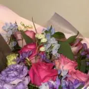 ma_boの画像
