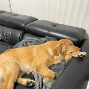 Kanaの画像