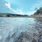 YKYの画像