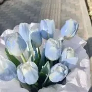 みんとの画像