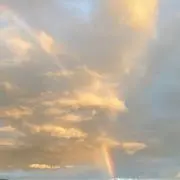 せいの画像