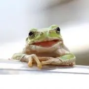 H☆Kの画像