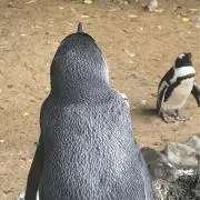 ぅぃ