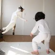 おしぃの画像
