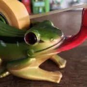 akaneの画像